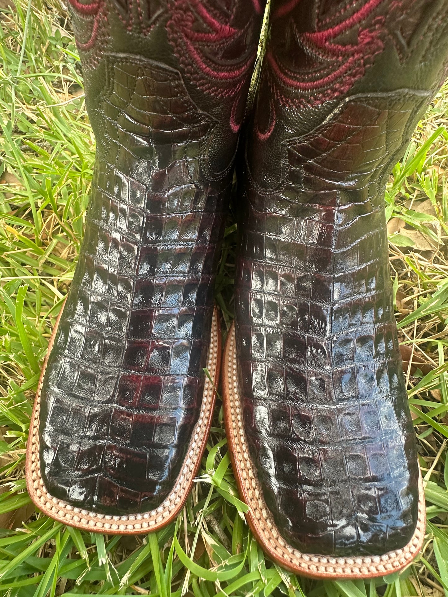 Coco Belly Black Cherry Exotic Boots.