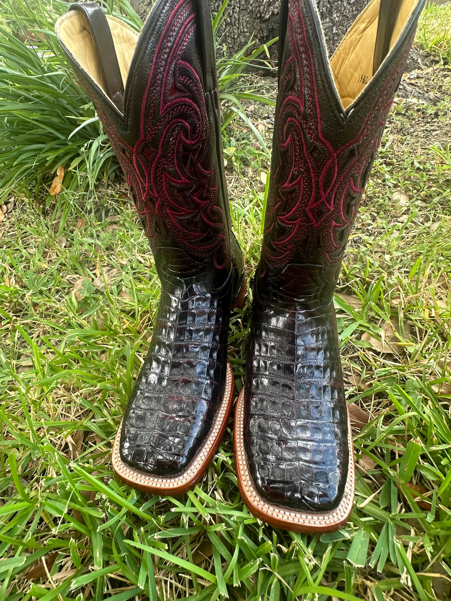 Coco Belly Black Cherry Exotic Boots.