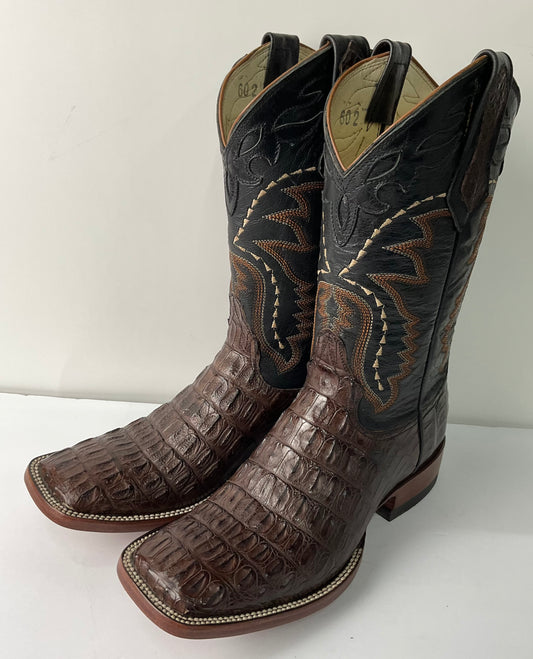 Alligator belly brown (lagarto tabaco panza) The stage coach Exotic Men Boot pro-rodeo