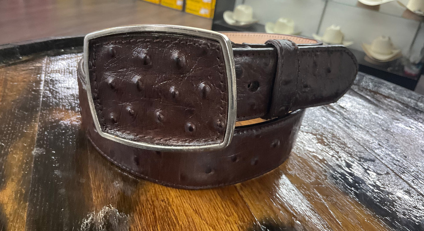 Mens Belt Ostrich Imitation Tabacco