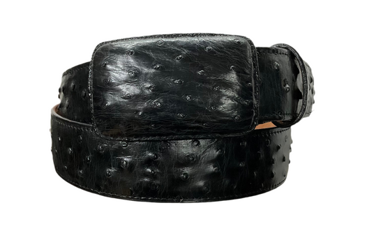 Exotic Black Vaquero Ostrich Belt