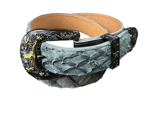 Exotic Piraruccu Fish Light Grey Belt